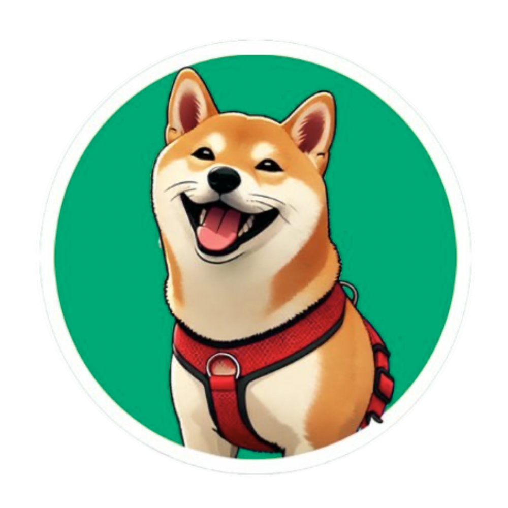 BALLTZE Coin: MEME Coin Honoring Viral Shiba Inu 'Cheems'