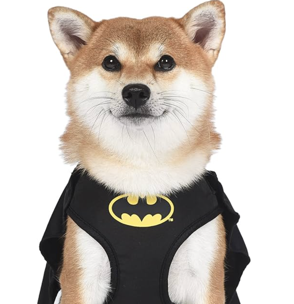 BATDOG Coin: Thrilling MEME Coin Inspired by Iconic Batdog - Join Now!