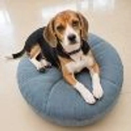 BEAGLE Coin: The Cutest MEME Coin Inspired by the Loyal Beagle Dog