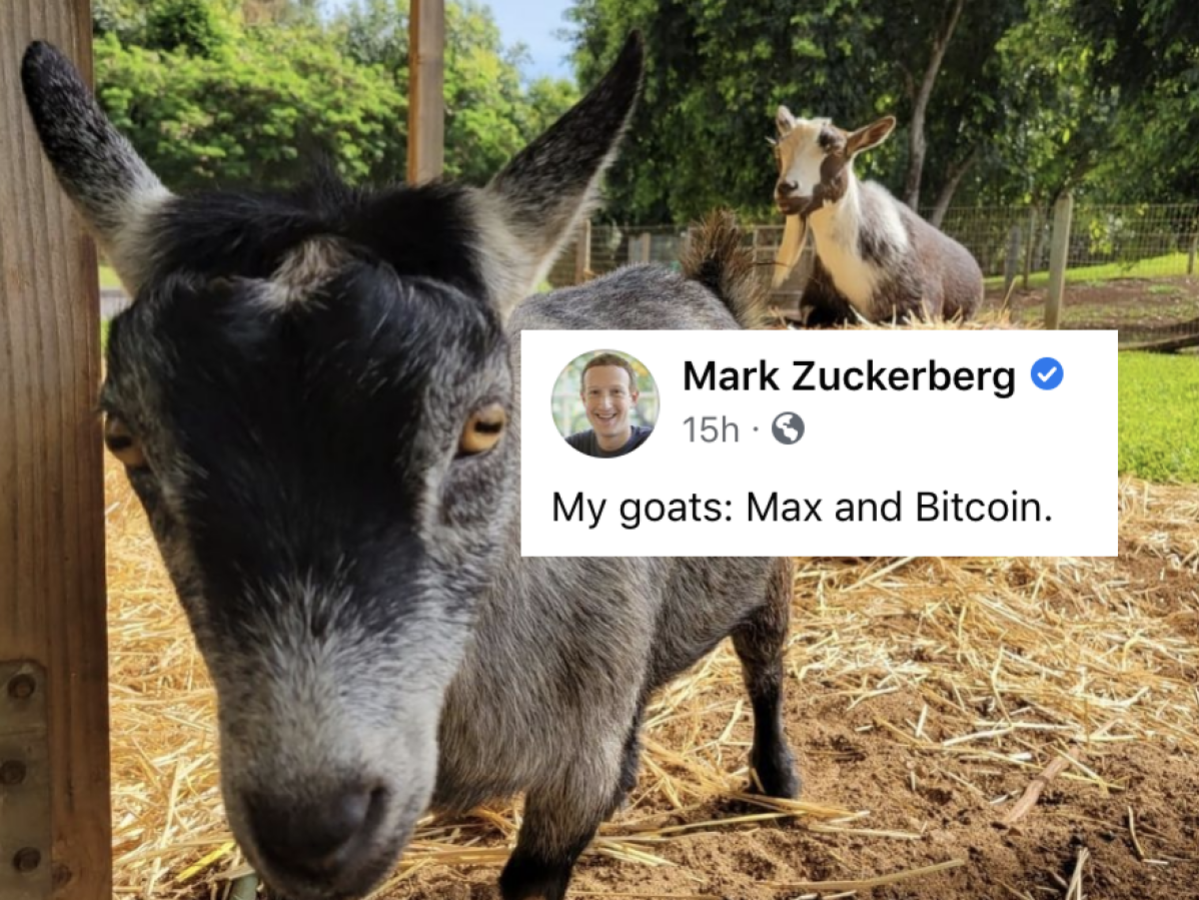 Bitcoin The Goat Coin: Introducing MEME Coin Revolutionizing Digital Payments