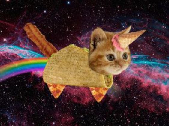 BTC Coin: Experience the Revolutionary Power of Bacon Taco Cat MEME Coin