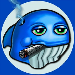 BUD Coin: MEME Coin by Buddy, Teaching Wealth, Laughs, Chill Vibes