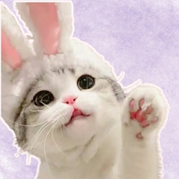 BUNEKO Coin: BunnyCat MEME Coin on Solana - Playful & Purr-fect MEME Coin