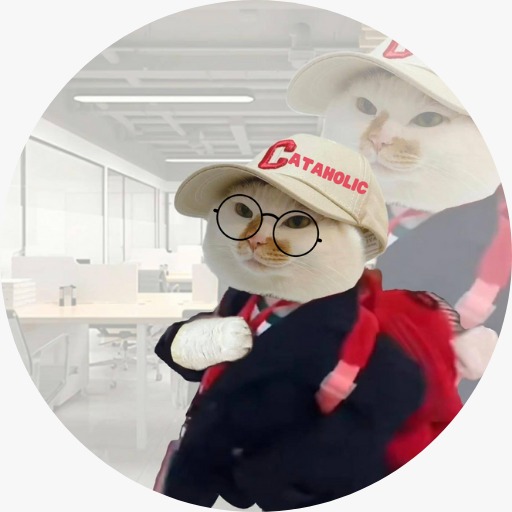 CATAHOLIC Coin: MEME Coin for Playful Dedication - Catty Goes To Work