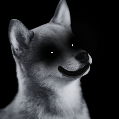 Cursed Canine Coin: Unleash Wildest MEME Coin Excitement with CC Coin