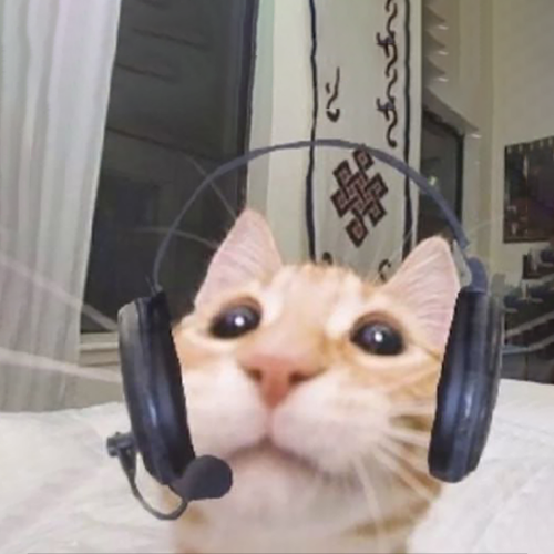 CCC Coin: The MEME Coin for Cat Lovers – Dive into Cat Call Center!