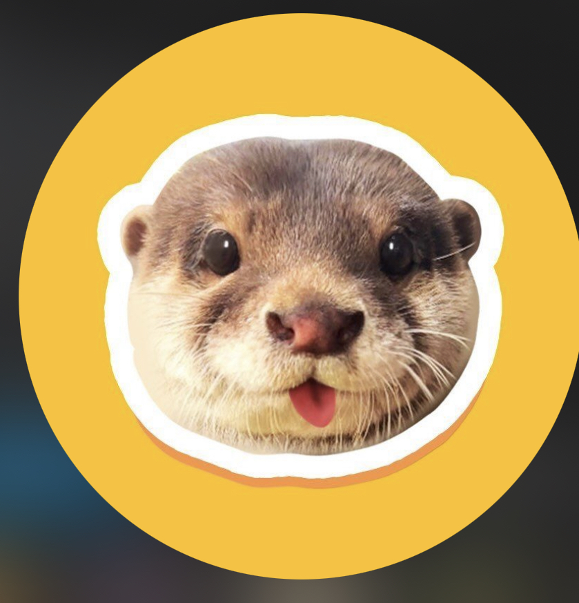 DEGEN Coin: The Wildest MEME Coin Inspired by Degen The Otter!