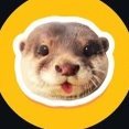 Degen Coin: Swim with Degen the Otter in the Future of MEME Coins!