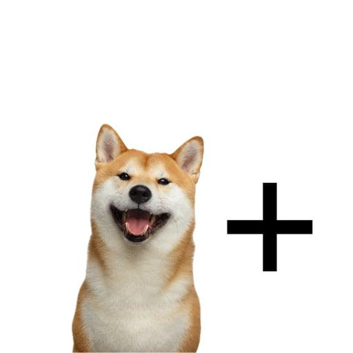 DOG+ MEME Coin: Combine DOG+ with any meme for endless possibilities.