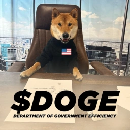 DOGE Coin: The Official MEME Coin Backed by Elon Musk and Govt