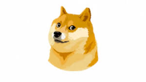 DOGSOL Coin: Doge Lands on SOLANA - Top MEME Coin with Rug Pull Protection