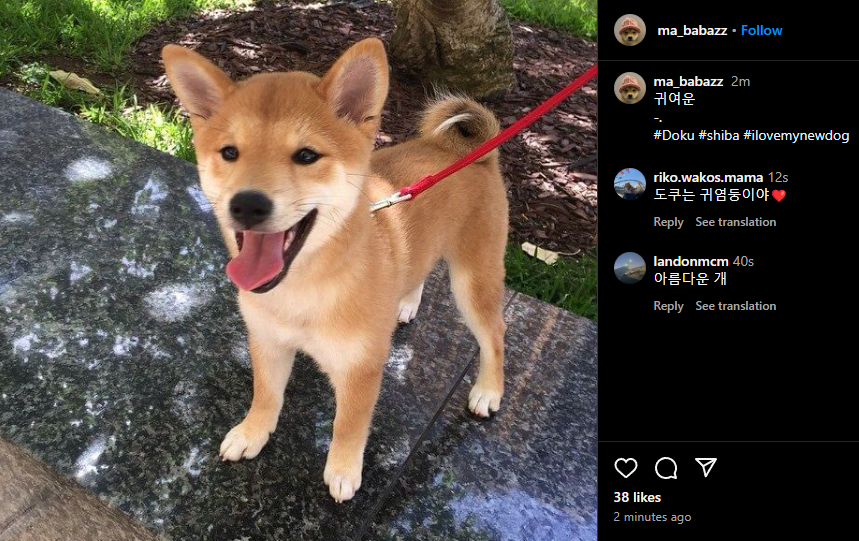 Doku Coin: Unleash the power of 'DOKU'! The ultimate MEME Coin for WIF owner's new dog. #MEMECoins #Crypto