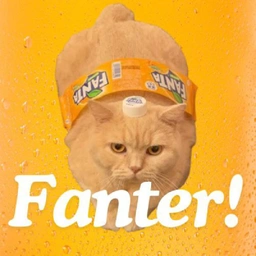 Fanter Coin: Meet $Fanter, the Fizzy MEME Coin with Fanta Cat Fun!