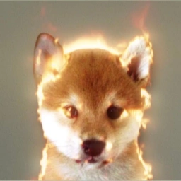 FIRE Coin: MEME Coin with Fire Dog mascot ignites the MEME world!