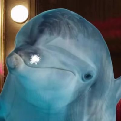 flipper Coin: Join the flipper frenzy & dive into the world of MEME Coins