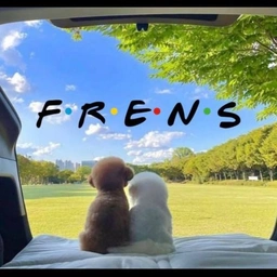 Frens Coin: The MEME Coin that Unites Us All in Community and Healing