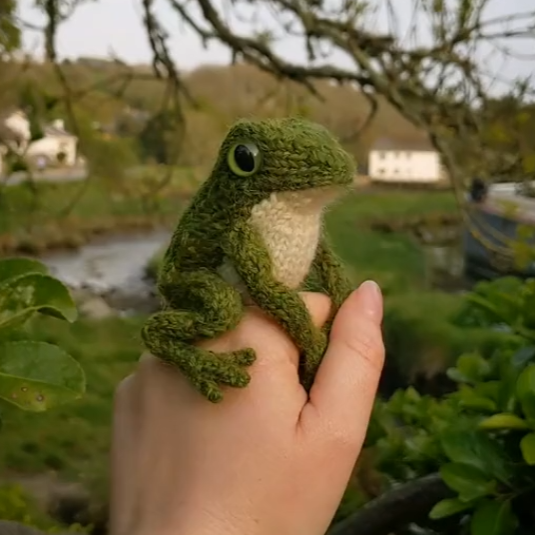 FROGGY Coin: Join the craze with Actual No1 TikTok Frog MEME Coin