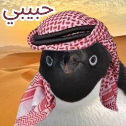 HABIBI Coin: Arab Peng MEME Coin – Your Luxurious Desert Prince Awaits!