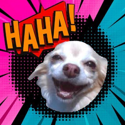 HAHA Coin: The Chihaha Dog MEME Coin – Join the $HAHA Meme Craze!