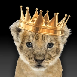 KING Coin: Embrace dominance with the power of $KING MEME Coin