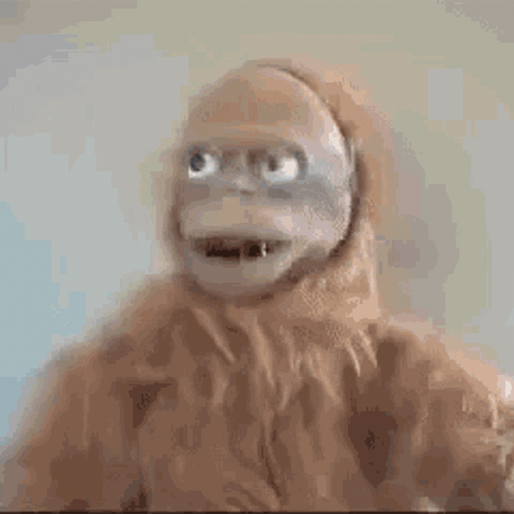 LUCY Coin: MEME Coin, Judge of MEME by LUCY THE ROBO-ORANGUTAN