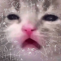 Math Cat MEME Coin: Get in Early and Watch Math Coin Soar!