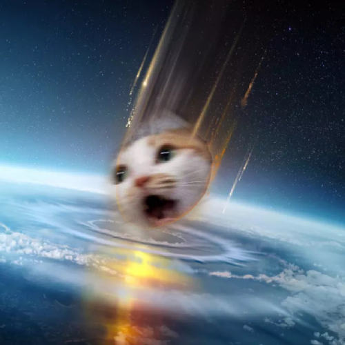 MEOWTEOR Coin: The MEME Coin to Annihilate Jeets and Soar to the Moon!