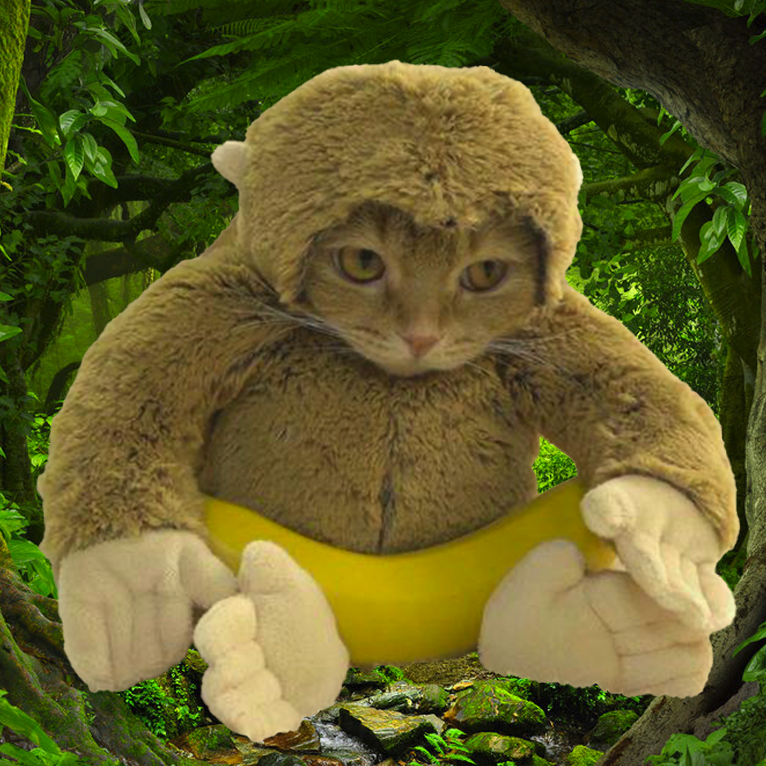 MONCAT Coin: Monkey Cat, the real MEME Coin. Swings by day, purrs by night.