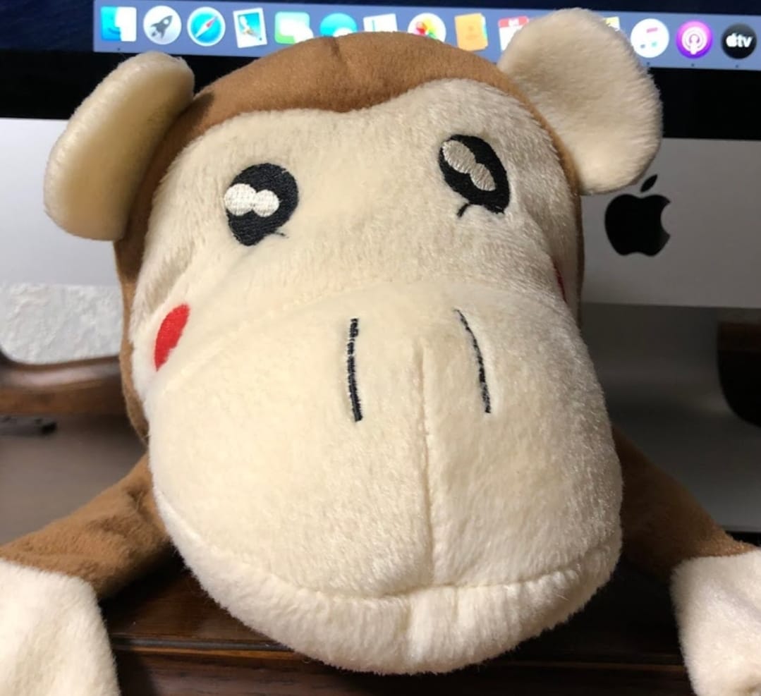 Monke Coin: The Hilarious Allure of Monke, the Ultimate MEME Coin Inspired by Kabosu's Plushie