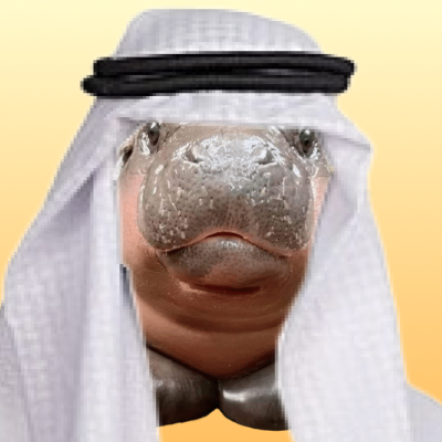 Mooshallah Coin: The Chosen One of MEME Coins! #cryptocurrency