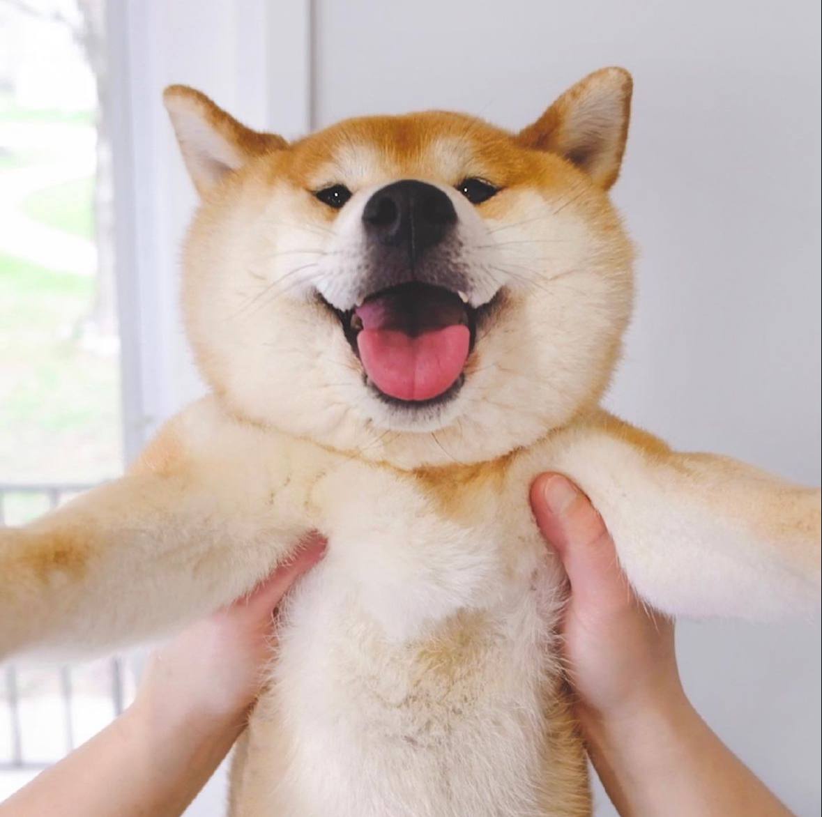 oka Coin: Join the MEME revolution with oka Shiba Inu - the legendary MEME Coin!