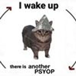 PSYOP Coin: Dive into the PSYOP Cat MEME Coin Frenzy!