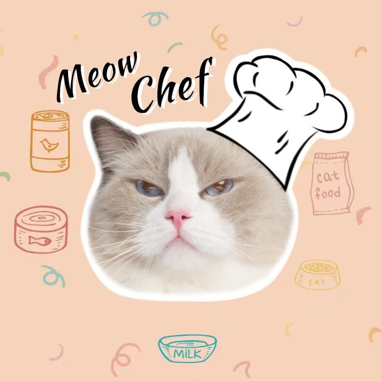 Puff Coin: Introducing Puff, the ultimate MEME Coin inspired by That Little Puff, the famous TikTok cat with 800m likes!