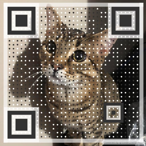 qrCAT Coin: The Purrfect MEME Coin Addition - Just a qrCAT