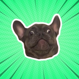 RAFPAF Coin: MEME Coin of Rafa, the Crypto-Loving Bulldog 🚀🐾 #RAFPAF