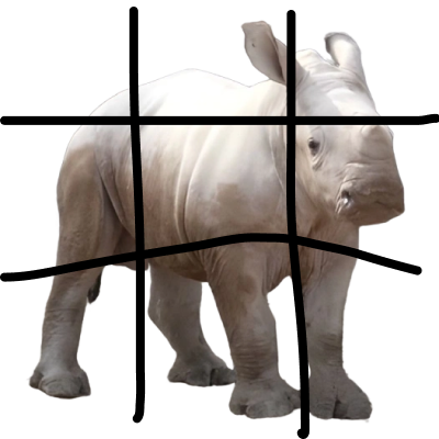 #rhino Coin: Unleash Your Financial Potential Today with the Unique Power of #rhino MEME Coin