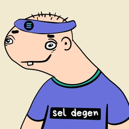 sel degen Coin: The Wildest MEME Coin on Solana – Join the $sel Craze!