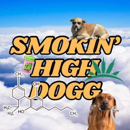 SHD Coin: MEME Coin Smokin' High Dogg to Skyrocket Your Portfolio!