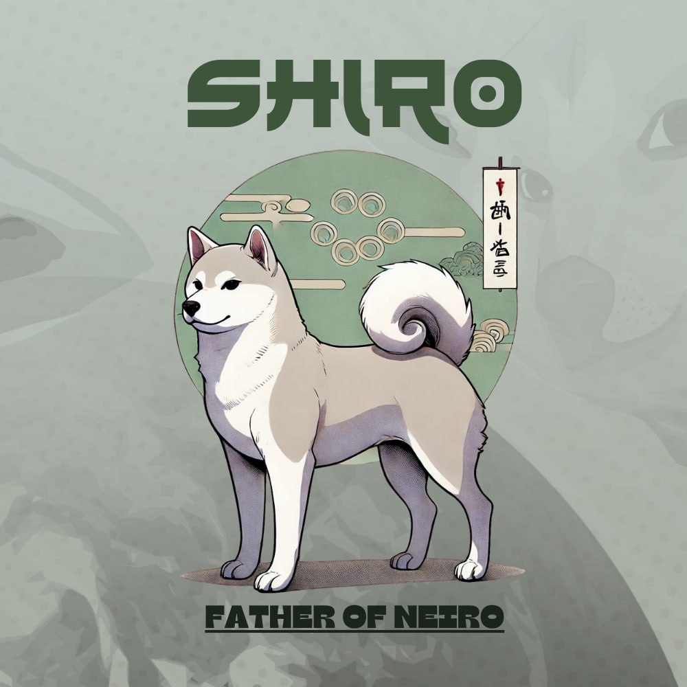 Shiro Coin: Honorable & Disciplined MEME Coin Representing Respect & Honor, Meet Neiro's Father 🐕‍🦺