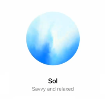 SOL' Coin: OpenAI's advanced voice for MEME Coins