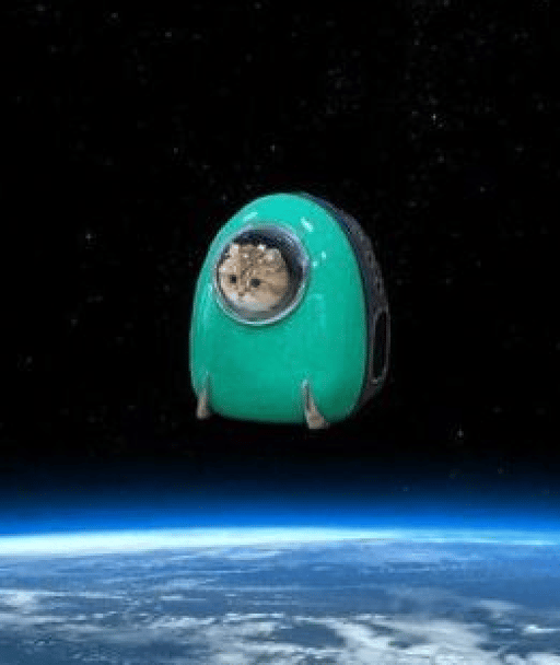 SPACEPUSSY Coin: Unleash 'I CAN SEE YOU JEET FROM OUTERSPACE' - the ultimate MEME Coin!