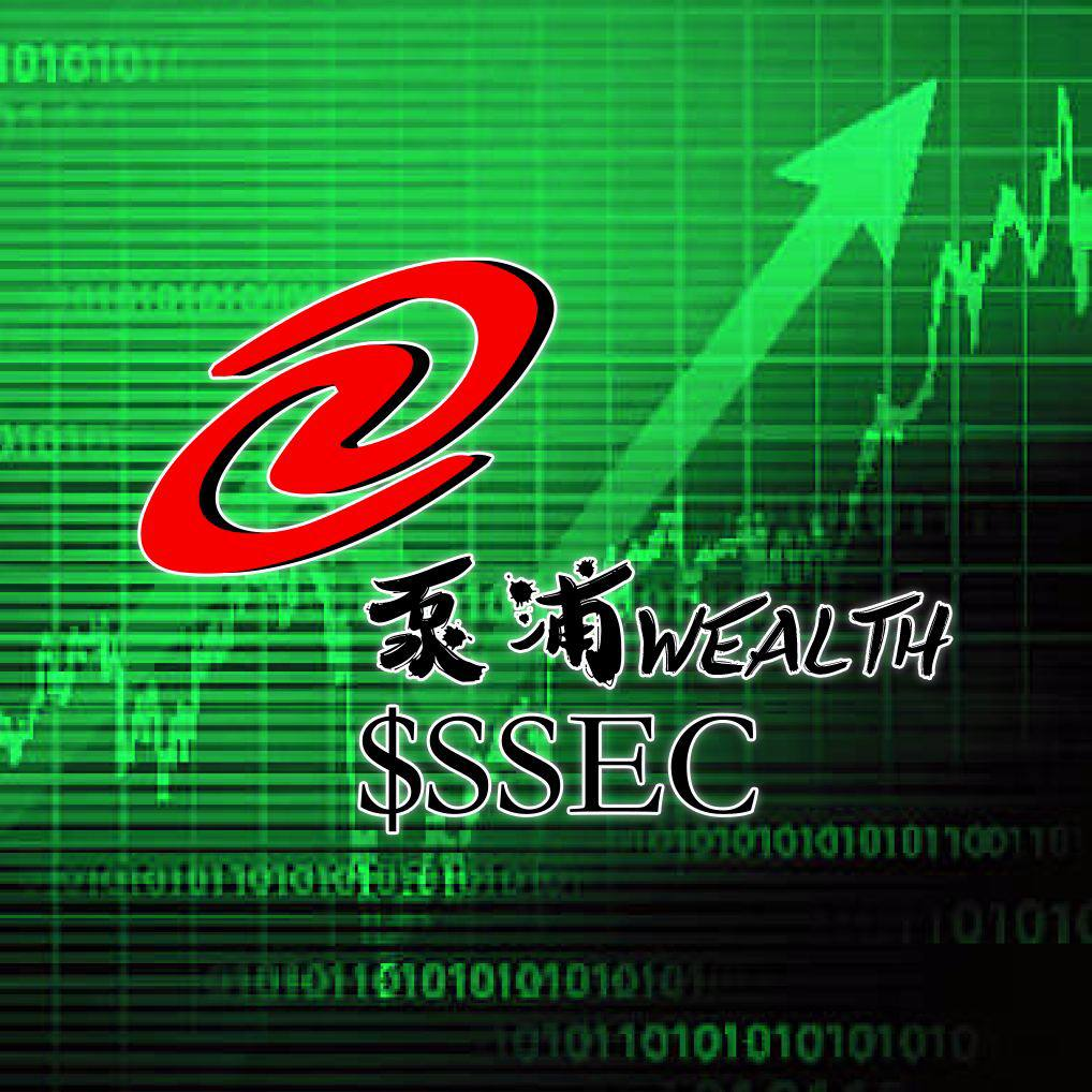 SSEC Coin: Introducing SSEC - The hottest MEME Coin pick!