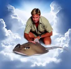 STEVE Coin: Introducing the Ultimate MEME Coin Inspired by Steve Irwin The Crocodile