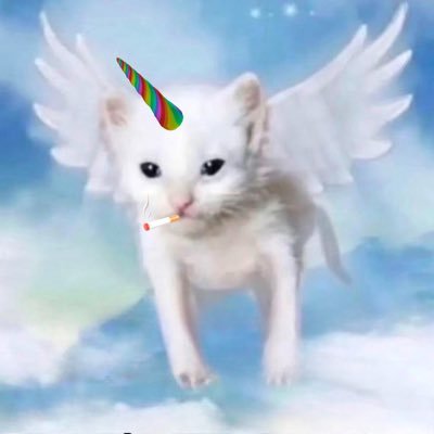 SUC Coin: Smoking Unicorn Cat - The Freshest MEME Coin Adventure