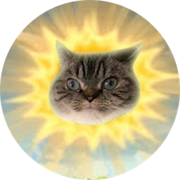 SUNCAT Coin: Ride the MEME Coin Wave & Shine Bright with SUNCAT Coin!