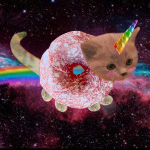 USDC Coin: Introducing the Ultimate MEME Coin: Unicorn Solami Donut