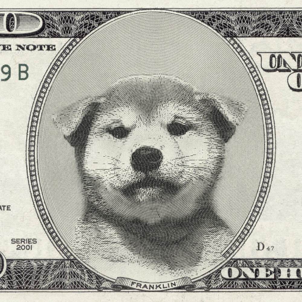 usDog Coin: The MEME Coin Revolution - Join the usDog Movement Today!