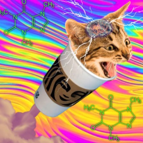 WIRED Coin: The MEME Coin Electrifying Crypto with CATFIEND Adventure