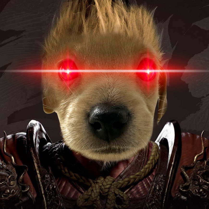 WULLY Coin: Unleash the MEME Coin Legend with Wukong Doggo WULLY!