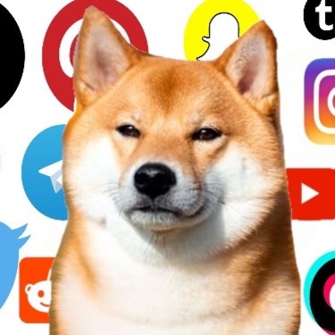 WWWDOG Coin: MEME Coin for a meme-filled journey into the world of World Wide Web Dog.